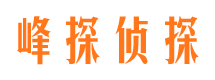 嘉峪关侦探